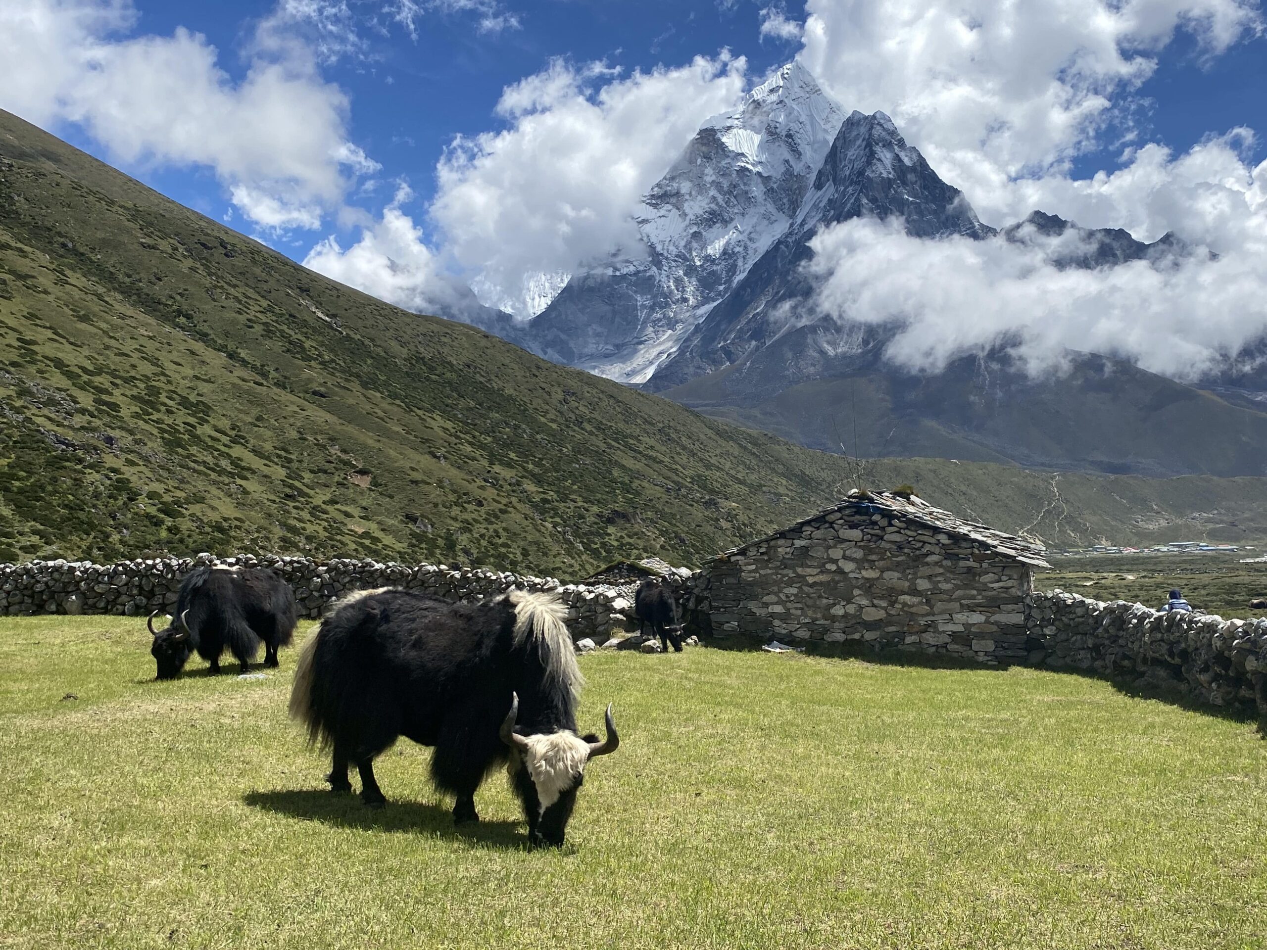Everest base camp trekking