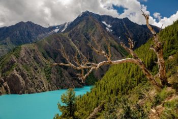 lower dolpo circuit trek